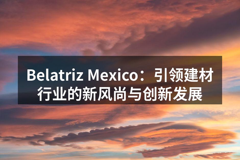 Belatriz Mexico：引领建材行业的新风尚与创新发