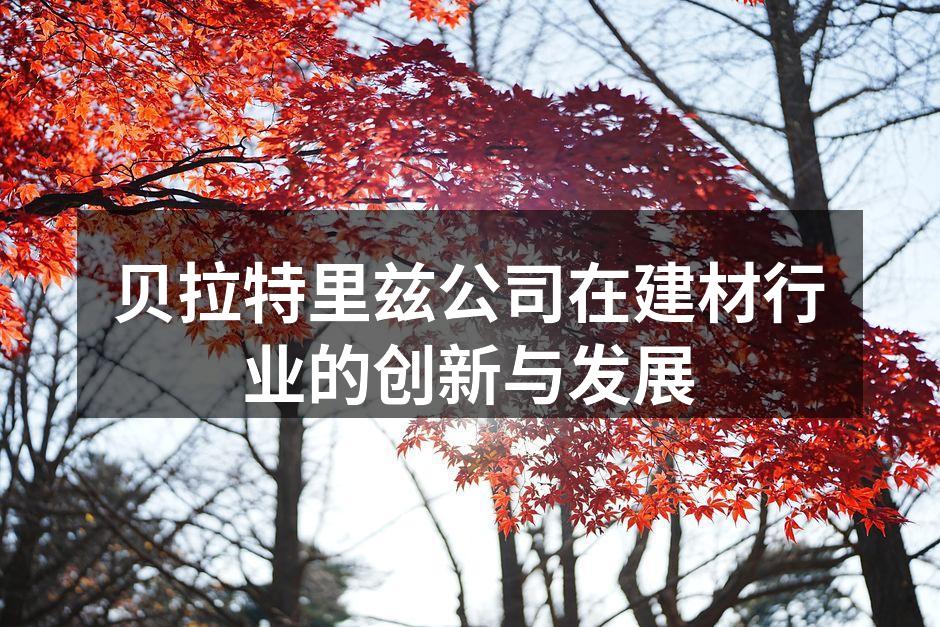 贝拉特里兹公司在建材行业的创新与发展