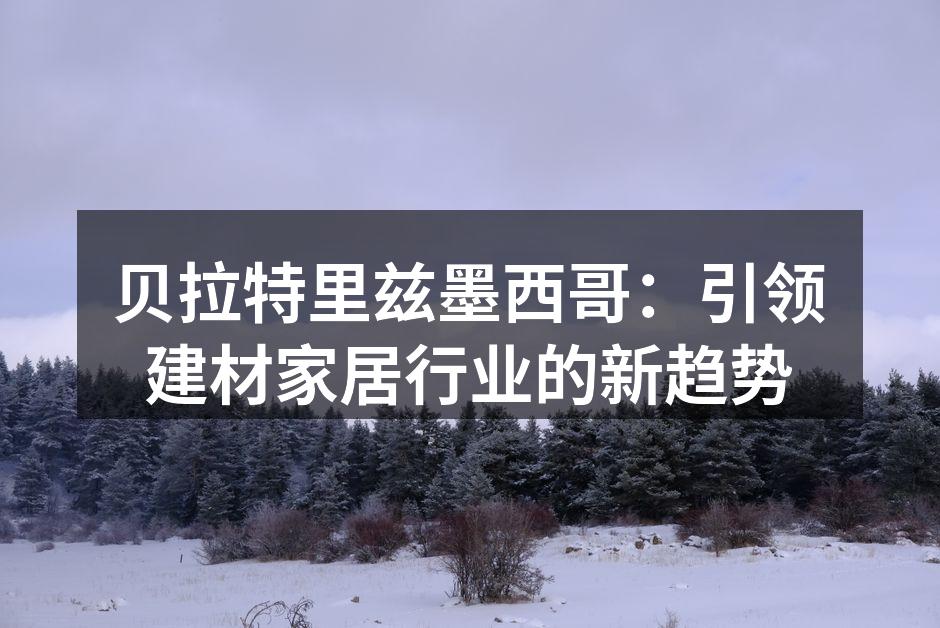 贝拉特里兹墨西哥：引领建材家居行业的新趋势