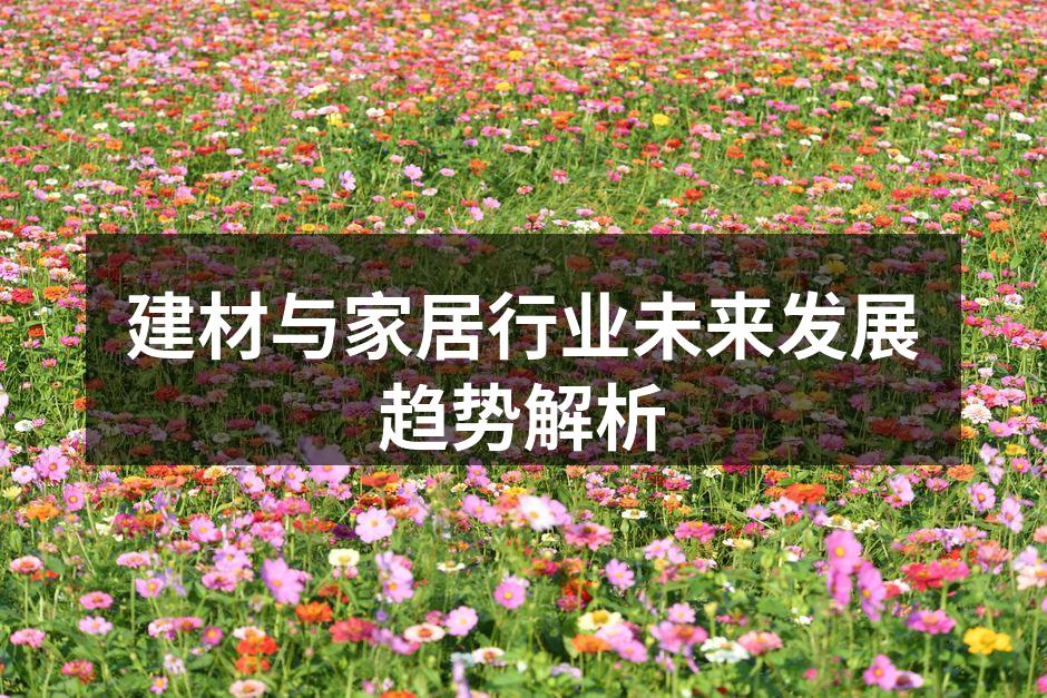 建材与家居行业未来发展趋势解析